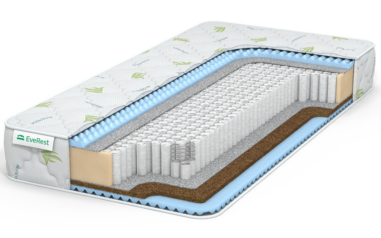 Everest Ту-Вэй Массаж бикокос S1000